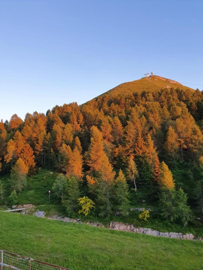 巴尔齐奥 Rifugio Campelli酒店 外观 照片